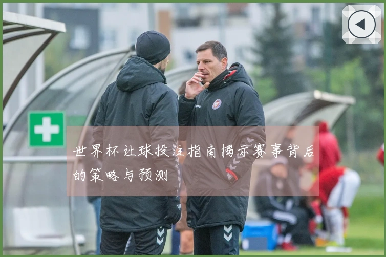 世界杯让球投注指南揭示赛事背后的策略与预测
