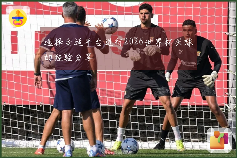 选择合适平台进行2026世界杯买球的经验分享