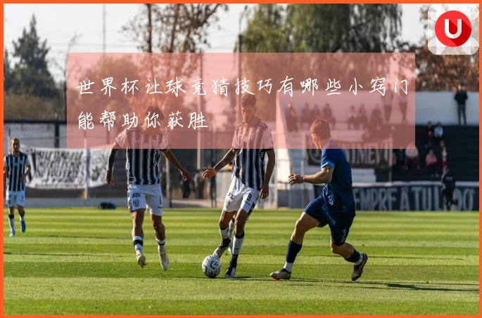 世界杯让球竞猜技巧有哪些小窍门能帮助你获胜