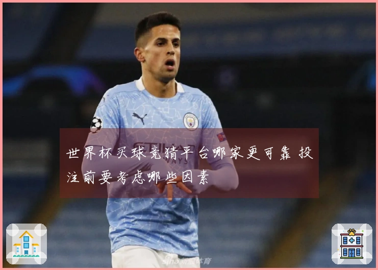 世界杯买球竞猜平台哪家更可靠 投注前要考虑哪些因素